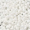 6/0 Glass Seed Beads X1-SEED-M012-01A-16-3