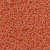 MIYUKI Round Rocailles Beads SEED-G009-RR0424-3