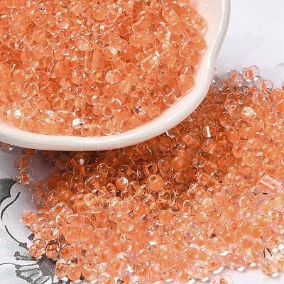 Glass Seed Beads SEED-K009-08B-02-1