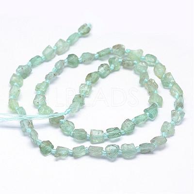 Natural Apatite Beads Strands G-P189-10-1