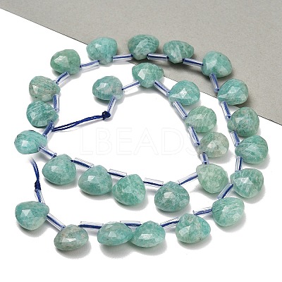 Natural Amazonite Beads Strands G-C292-A11-01-1