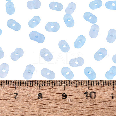 FGB Frosted Transparent Glass Seed Beads SEED-N013-06A-11-1