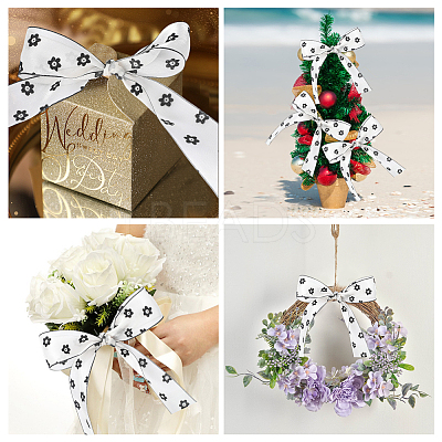 1Roll Printed Polyester Chiffon Ribbons OCOR-CY0002-35E-1