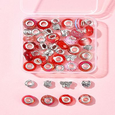 DIY Tibetan Style Alloy & Resin European Beads Making Finding Kits DIY-FS0006-78E-1