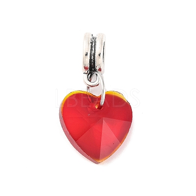 Large Hole Alloy European Dangle Charms PALLOY-JF00041-05-1