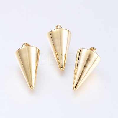 304 Stainless Steel Pendants STAS-G214-47G-02-1