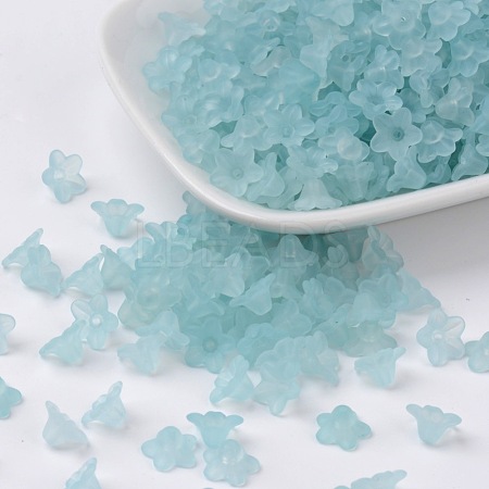 Transparent Acrylic Beads X-PL554-11-1