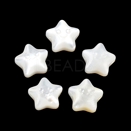 Natural White Shell Beads SHEL-M020-02A-1