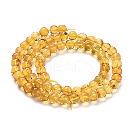 Natural Amber Beads Strands G-K308-C01-6mm-1