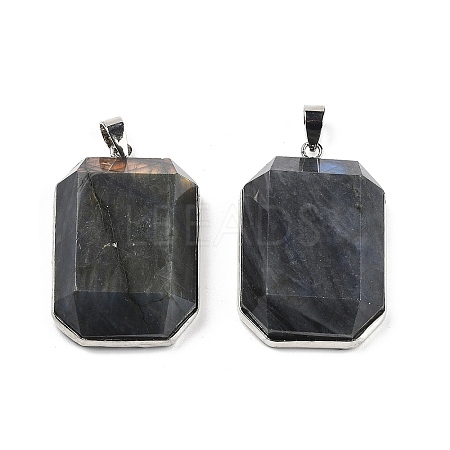 Natural Labradorite Pendants G-B139-02P-04-1