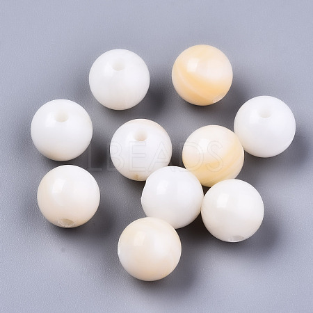Natural Freshwater Shell Beads SHEL-S266-15C-1