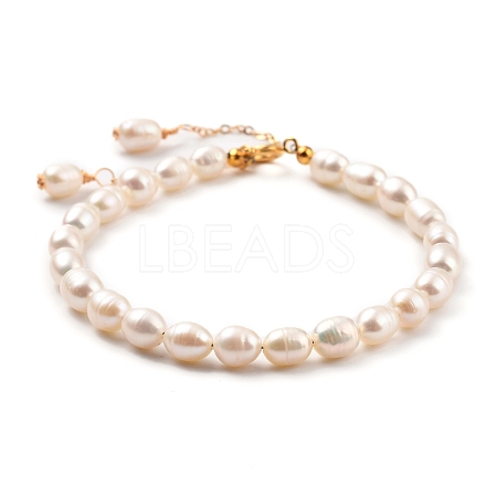 Natural Cultured Freshwater Pearl Beaded Bracelets BJEW-JB05325-01-1