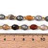 Natural Picture Jasper Beads Strands G-N342-53-8x6-09-5