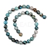 Natural Chrysocolla Beads Strands G-K405-B01-10mm-4