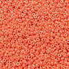 MIYUKI Round Rocailles Beads SEED-X0055-RR0424-3