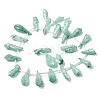 Electroplated Natural Quartz Crystal Beads Strands G-G890-A-12-2