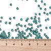 TOHO Round Seed Beads X-SEED-TR08-0756-4