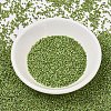 MIYUKI Delica Beads SEED-X0054-DB2265-2