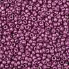 TOHO 8/0 Round Beads X-SEED-TR08-0563F-2