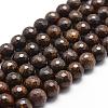 Natural Bronzite Beads Strands G-D840-18-10mm-1