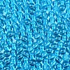 FGB Transparent Glass Seed Beads SEED-N013-01A-05-3