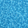 8/0 Transparent Glass Seed Beads SEED-S048-P-004-3