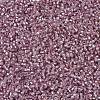 MIYUKI Delica Beads X-SEED-J020-DB1434-3