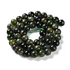 Natural Green Diopside Beads Strands G-NH0031-01B-3