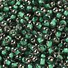 Transparent Inside Colours Glass Seed Beads SEED-H002-A-C221-3