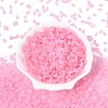 FGB Frosted Transparent Glass Seed Beads SEED-N013-05A-05-2
