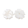 Natural White Shell Beads SSHEL-C011-08-1
