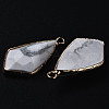 Natural Howlite Charms G-Q998-029C-4