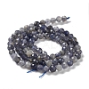 Natural Iolite Beads Strands G-J400-E05-02-3