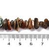 Natural Paua Shell Beads Strands BSHE-B007-05-4