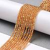 Electroplate Transparent Glass Beads Strands LS-GLAA-H021-01A-FR06-3