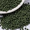 MIYUKI Round Rocailles Beads SEED-X0055-RR0501-1