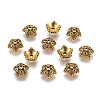 Tibetan Style Bead Caps LS-TIBEB-A24621-AG-LF-1