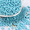 Glass Seed Beads SEED-L011-04A-11-1
