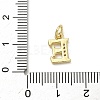 Brass Micro Pave Cubic Zirconia Charms KK-I382-03G-E-3