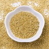 MIYUKI Delica Beads X-SEED-J020-DB0033-2