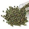TOHO Round Seed Beads SEED-TR08-1702-1