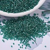 MIYUKI Delica Beads X-SEED-J020-DB0919-1