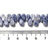 Natural Blue Spot Jasper Beads Strands G-B064-B59-5