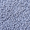 MIYUKI Round Rocailles Beads SEED-X0054-RR0498-2