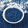 MIYUKI Round Rocailles Beads X-SEED-G008-RR0648-3