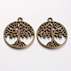 Tibetan Style Alloy Pendants X-TIBEP-5347-AB-FF-1