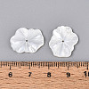 Natural White Shell Carved Leaf Beads BSHE-T014-31A-4