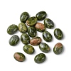 Natural Unakite Cabochons G-A094-01B-50-1