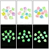 10Pcs Luminous Resin Display Decorations RESI-YW0004-11A-2