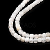 Natural Rainbow Moonstone Beads Strands G-G140-C01-02-3